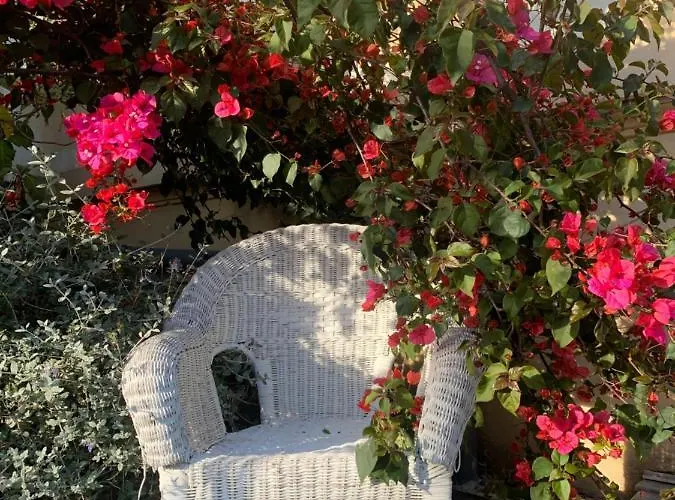 Otel Alexandra - Boutique