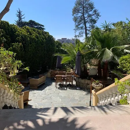 Alexandra - Boutique