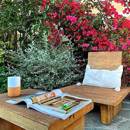 Alexandra - Boutique Hotel Juan-les-Pins